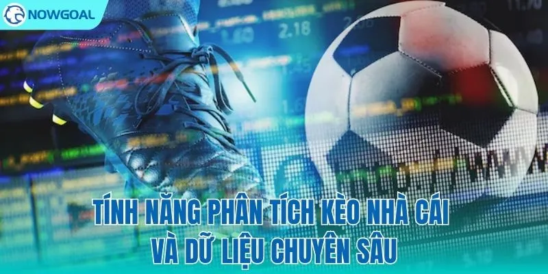Soi kèo chuẩn xác với kho dữ liệu khổng lồ